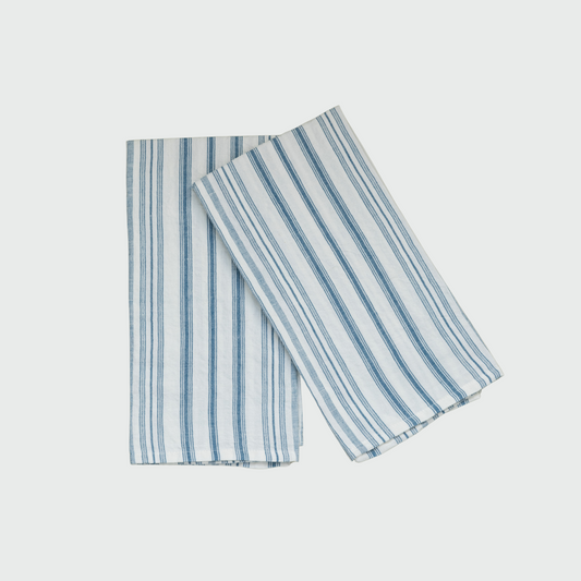 Stripe Dish Towel in Blue, Set of 2