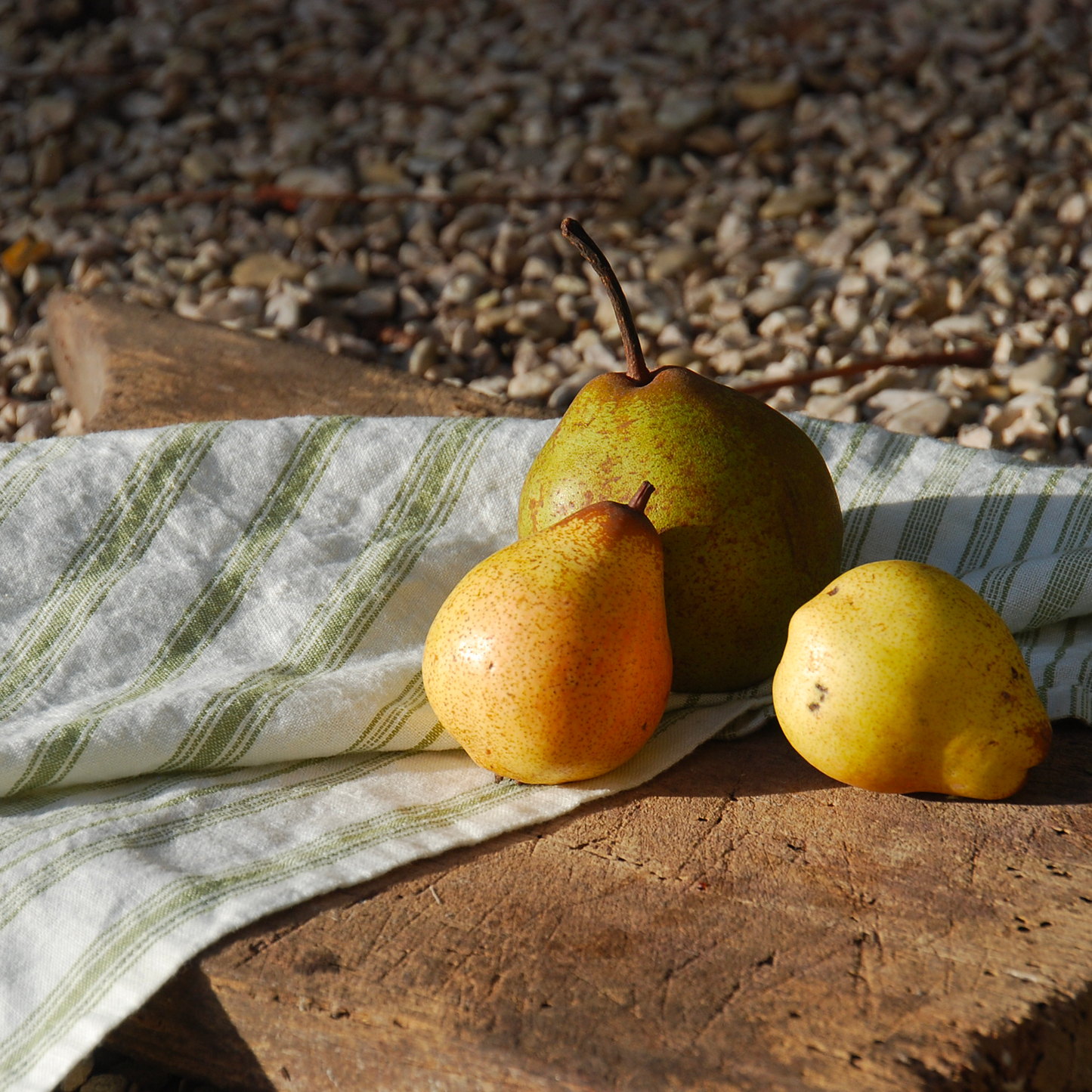 Torchon à rayures olive, lot de 2 