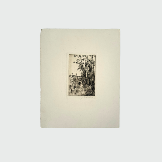 Landscape Lithography I