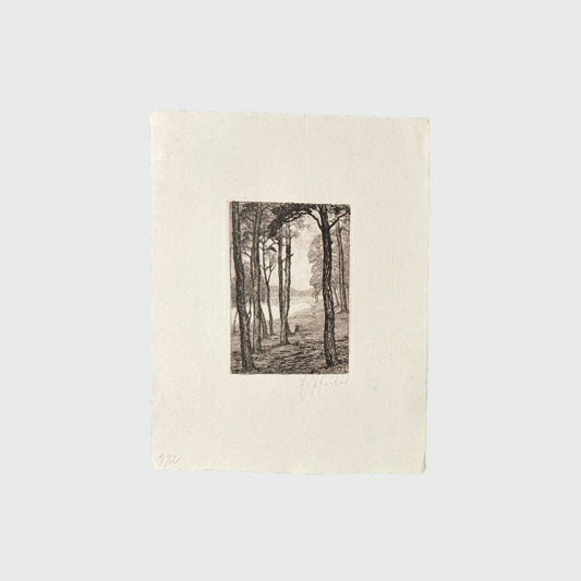 Landscape Lithography VI